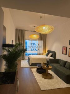 Beautifully upgraded Furnished Studio I pool view