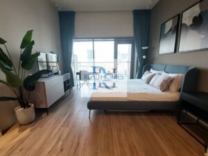 Fully Furnished | Dishwasher Machine Ready to Move