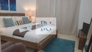 Upgraded Furnished 1BHK | Bright | Ready to Move | JVC