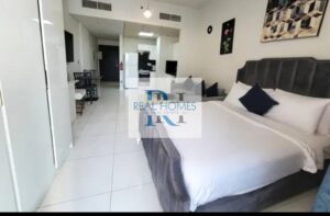 Cheapest Price | Fully Furnished| Multiple Cheques