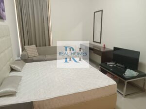 Spacious One bedroom Apartment| Affordable | Arjan