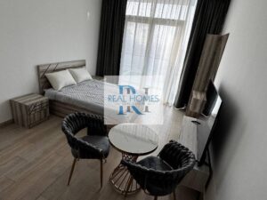 Fully Furnished Pet Friendly Ready to Move Vacant!